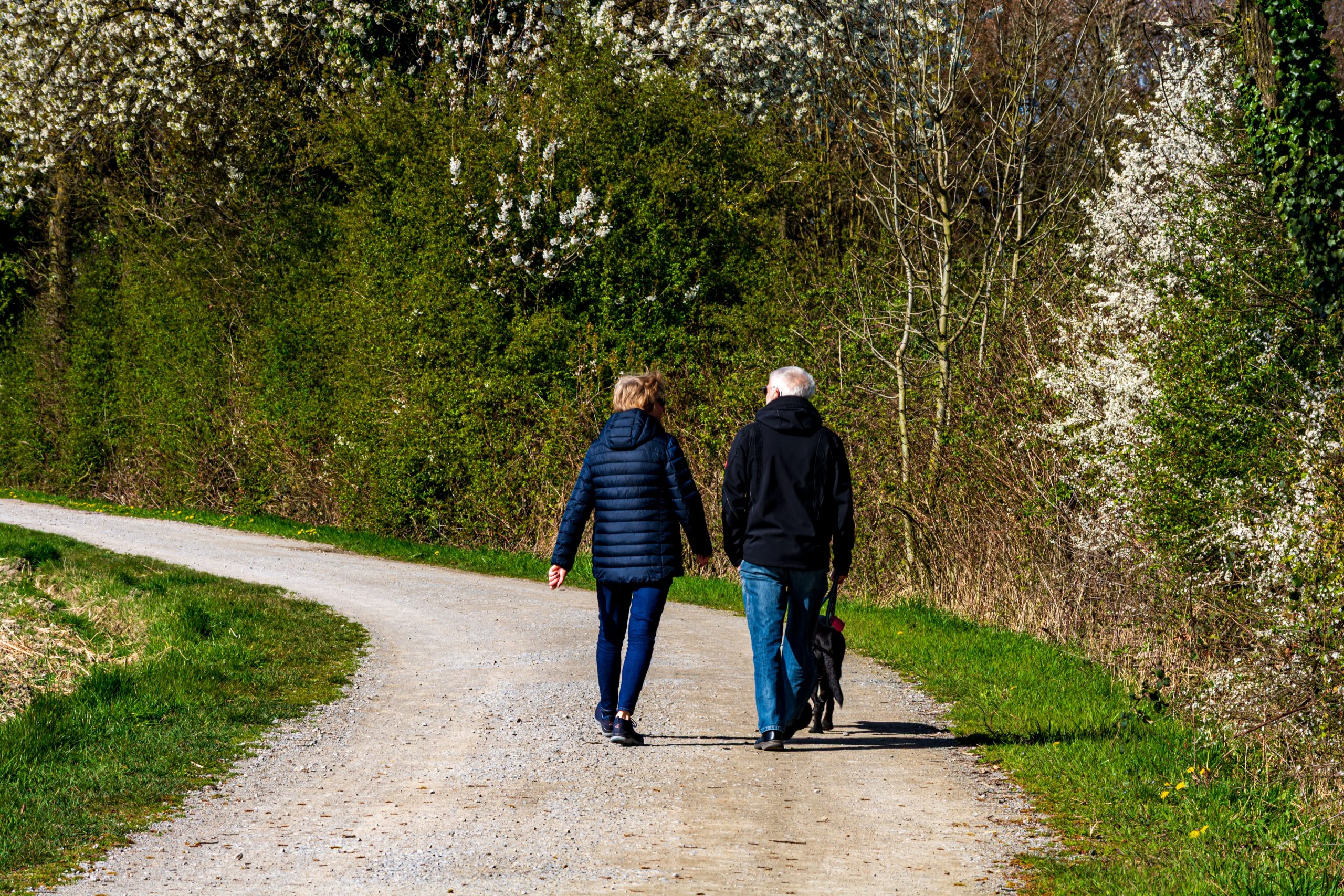 Alzheimer’s Wandering Safely
